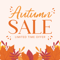 Autumn Limited Offer Instagram post Image Preview