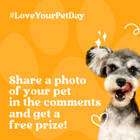 Cute Pet Lover Giveaway Linkedin Post Image Preview