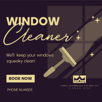 Squeaky Clean Windows Linkedin Post Image Preview