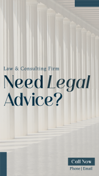 Legal Consultant Video Image Preview