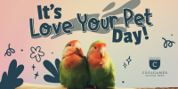Avian Pet Day Twitter post Image Preview