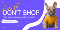 New Furry Friend Twitter Post Design