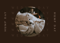 Wednesday Hump Day Postcard Image Preview