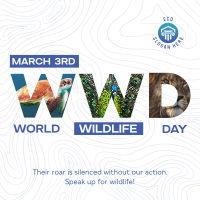 World Wildlife Day Instagram post Image Preview