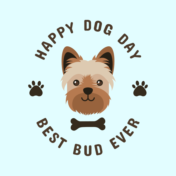 Yorkie Happy Dog Day Instagram Post Design Image Preview