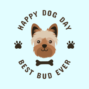 Yorkie Happy Dog Day Instagram post