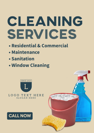Home Cleaners Flyer Image Preview