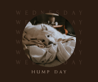 Wednesday Hump Day Facebook post Image Preview