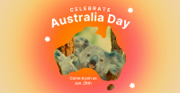 Australian Koala Facebook Ad Design