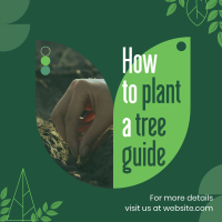 Plant Trees Guide Linkedin Post Image Preview