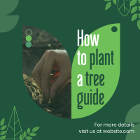 Plant Trees Guide Linkedin Post | BrandCrowd Linkedin Post Maker