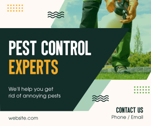 Pest Control Experts Facebook post Image Preview