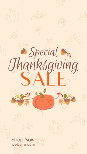 Special Thanksgiving Sale Facebook story Image Preview