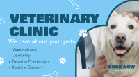 Professional Veterinarian Clinic Video Image Preview