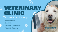 Professional Veterinarian Clinic YouTube Video Design