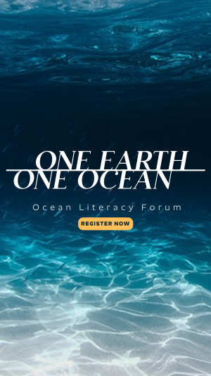 One Ocean Facebook story Image Preview