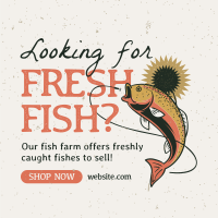 Fresh Fish Farm Linkedin Post Design
