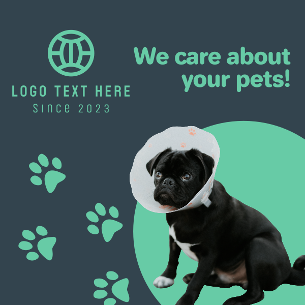Veterinary Clinic Instagram Post Design Image Preview