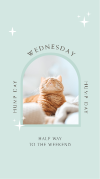 Wednesday Hump Day Facebook Story Design