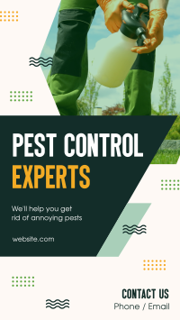 Pest Control Experts Instagram Reel Design