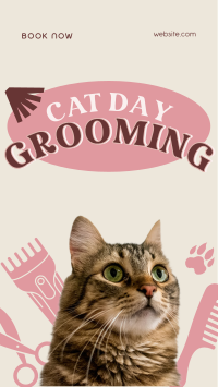 Cat Day Grooming TikTok Video Design