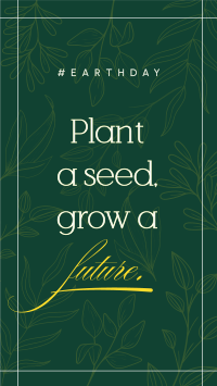 Plant a seed Video Image Preview