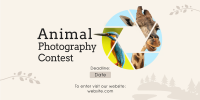 Animals Photography Contest Twitter post Image Preview