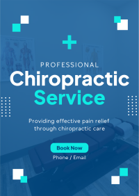 Professional Chiropractor Poster Image Preview
