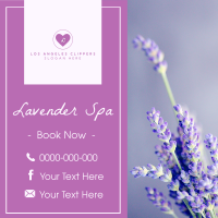 Lavender Buds Instagram post Image Preview