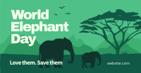 Safari Elephant Facebook Ad Design