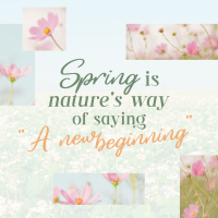 Spring Quote Instagram Post Design