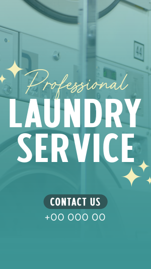 Professional Laundry Service Facebook story Image Preview