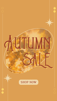 Shop Autumn Sale Facebook story Image Preview