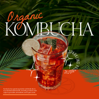Organic Kombucha Instagram Post Image Preview