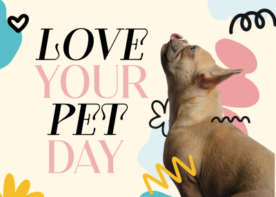 Love Your Pet Today Postcard Image Preview