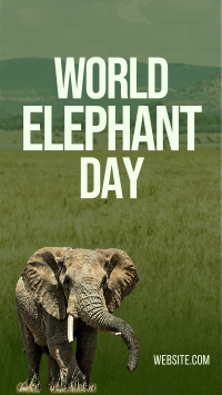 World Elephant Day YouTube short Image Preview