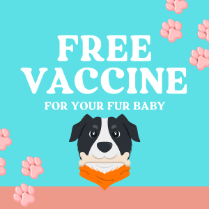 Quirky Dog Vet Vaccine Instagram post Image Preview