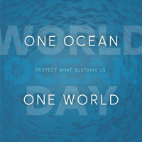 Simple Minimalist Ocean Day Instagram Post Design