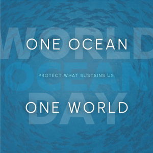 Simple Minimalist Ocean Day Instagram post Image Preview
