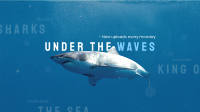 The Shark Week YouTube Banner Design