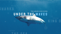 The Shark Week YouTube banner | BrandCrowd YouTube banner Maker