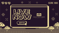 Pixel Livestreamer Animation Design