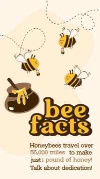 Honey Bee Facts Instagram Reel Design