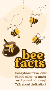 Honey Bee Facts Instagram reel Image Preview