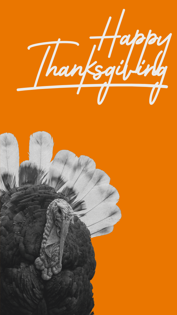 Orange Thanksgiving Turkey Instagram Story Design Image Preview