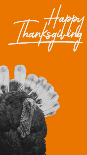 Orange Thanksgiving Turkey Instagram story Image Preview