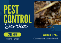 Professional Pest Control Postcard Design