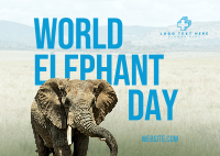 World Elephant Day Postcard Image Preview