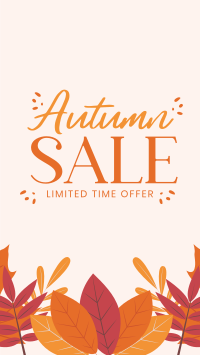 Autumn Limited Offer TikTok Video Preview