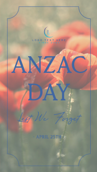 Poppy Flower Anzac Day Video Image Preview